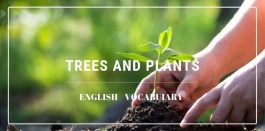 คำศัพท์ภาษาอังกฤษเกี่ยวกับประเภทของต้นไม้และพืชพรรณทางธรรมชาติ