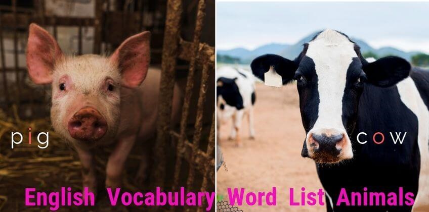 คำศัพท์ภาษาอังกฤษหมวดสัตว์ สำหรับชั้น ป.2