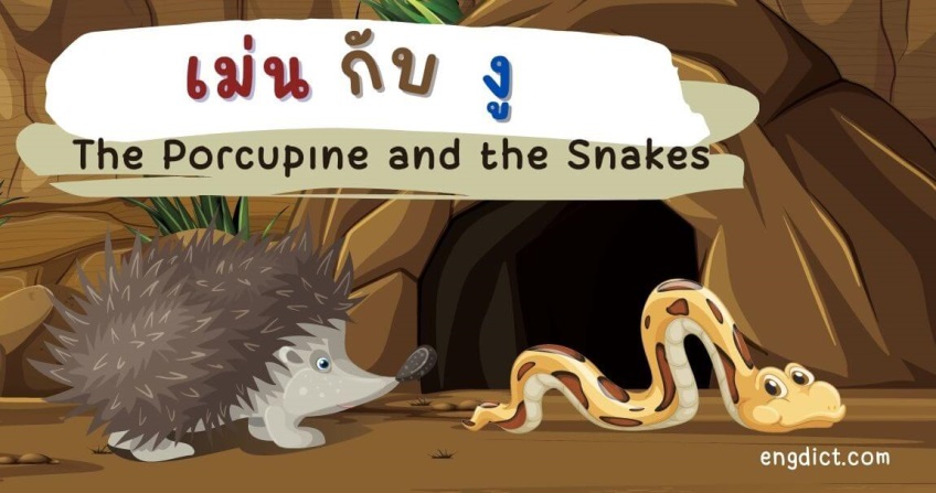 เม่นกับงู | The Porcupine and the Snakes