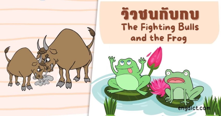 วัวชนกับกบ | The Fighting Bulls and the Frog