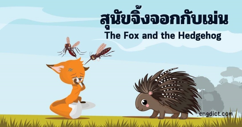 สุนัขจิ้งจอกกับเม่น | The Fox and the Hedgehog