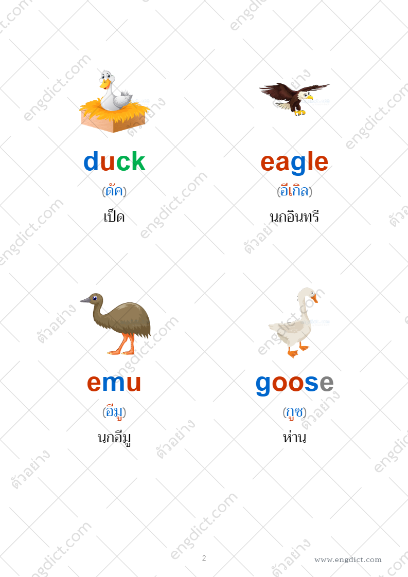ดาวน์โหลดไฟล์สื่อการสอน คำศัพท์ภาษาอังกฤษเกี่ยวกับสัตว์ปีก ดาวน์โหลดไฟล์สื่อการสอน คำศัพท์ภาษาอังกฤษเกี่ยวกับสัตว์ปีก